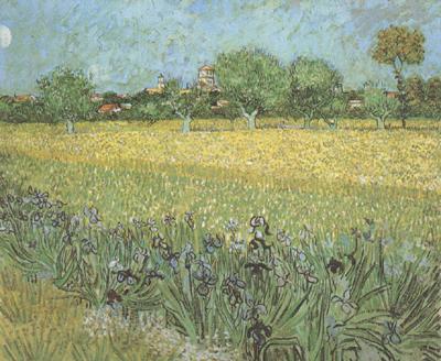 Vincent Van Gogh View of Arles with Irises in the Foreground (nn04) oil painting picture